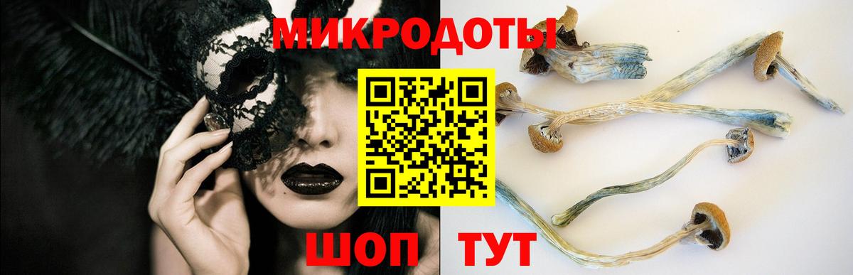 Псилоцибиновые грибы прущие грибы  Вход с VPN  магазин продажи наркотиков  Псилоцибиновые грибы Psilocybe  Петрозаводск 