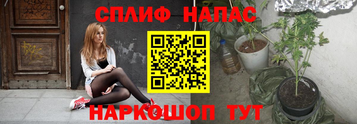 МАРИХУАНА ГИДРОПОН Петрозаводск